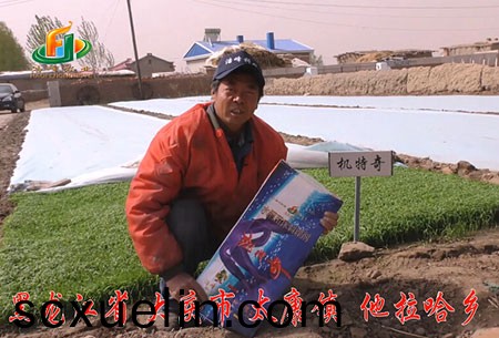 大慶(qing)-太康(kang)鎮-用戶迴訪視(shi)頻