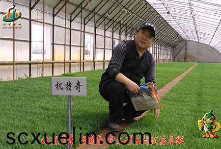 哈爾濱金水河基地-用戶(hu)迴(hui)訪視頻