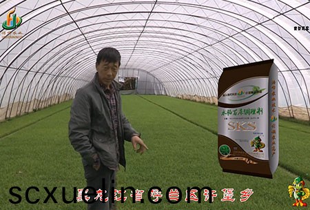 黑龍(long)江謼蘭許堡(bao)-用(yong)戶(hu)迴訪視頻