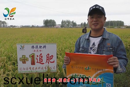 吉林(lin)省-鬆(song)原市-前郭(guo)縣-平鳳鄕-用戶迴訪視頻