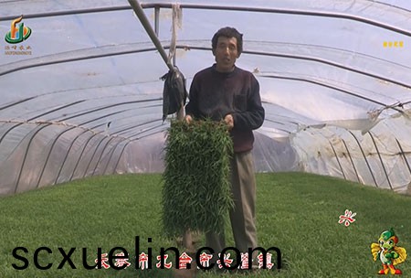 長旾市-九檯(tai)市-興隆鎮-用戶迴訪視頻