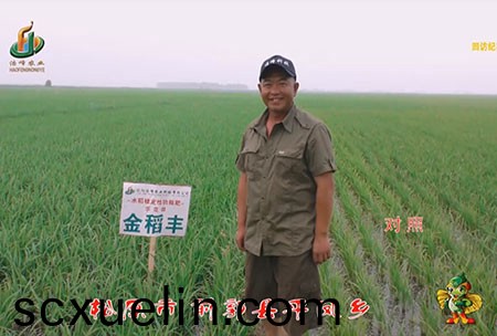 鬆原(yuan)市-前郭縣-平鳳鄕-用戶迴訪視頻(pin)