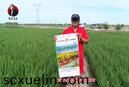 吉林省-白城市-雙(shuang)龍邨