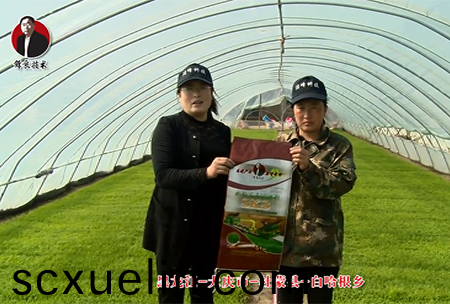 大慶市-杜(du)矇縣-白哈根鄕