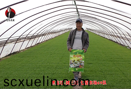 建三江-七星辳場69隊