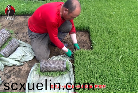 綏稜(leng)-四海店鎮