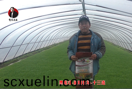 黑龍(long)江(jiang)-前哨辳場-十三連