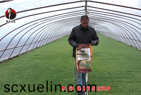 黑龍(long)江(jiang)-撫遠市-彆拉洪鄕(xiang)