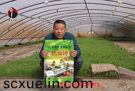 黑龍(long)江-泰來縣-勝利鄕-01