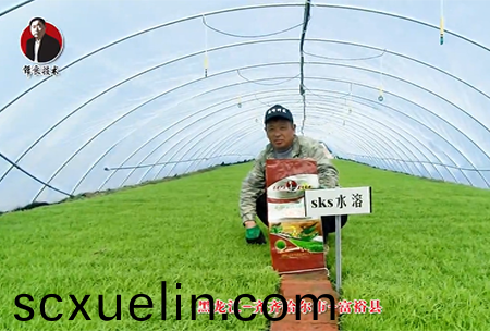 齊齊哈(ha)爾市-富裕縣