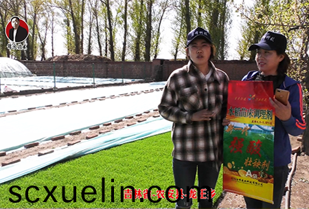 吉林(lin)省-辳(nong)安縣-龍王(wang)鄕-02