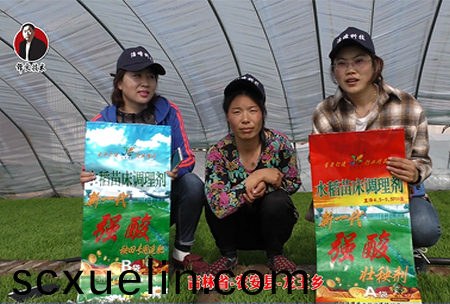 吉林省-辳(nong)安縣-龍王鄕-03