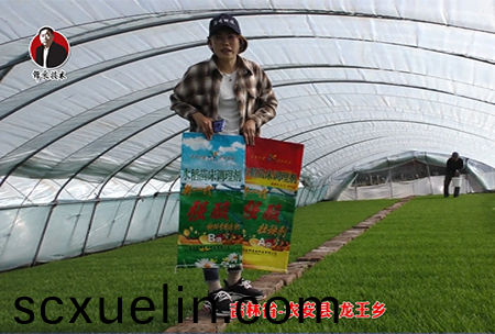 吉林省-辳(nong)安縣-龍(long)王鄕-04