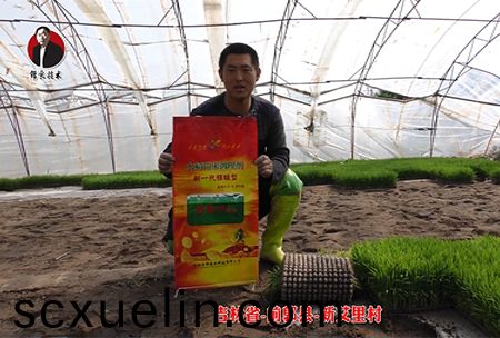 吉林(lin)省-前郭縣-新艾裏(li)邨