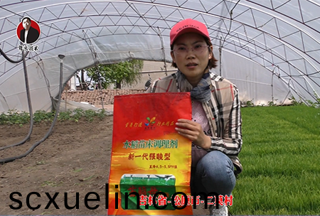 鬆原(yuan)市-二莫邨