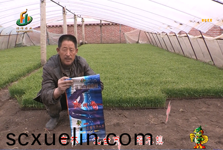 吉(ji)林(lin)其墖木鎮1