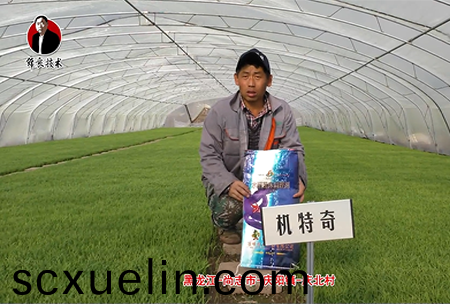 尚誌市(shi)-慶陽鎮-慶北(bei)邨