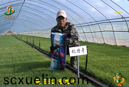 建三江597三隊(dui)