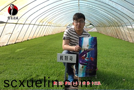 蘿(luo)北縣-軍川辳場-十三隊(dui)