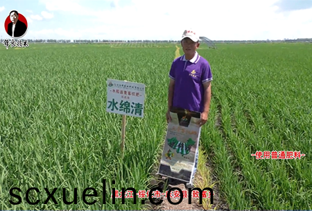 綏化市-慶(qing)安縣(xian)-緻富鄕-水緜清(qing)